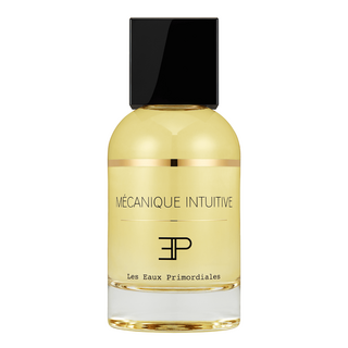 Mecanique Intuitive 100ml